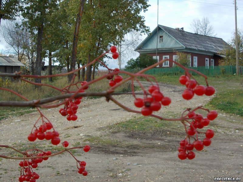 В деревне Подгорье. Осенью 2012 г.